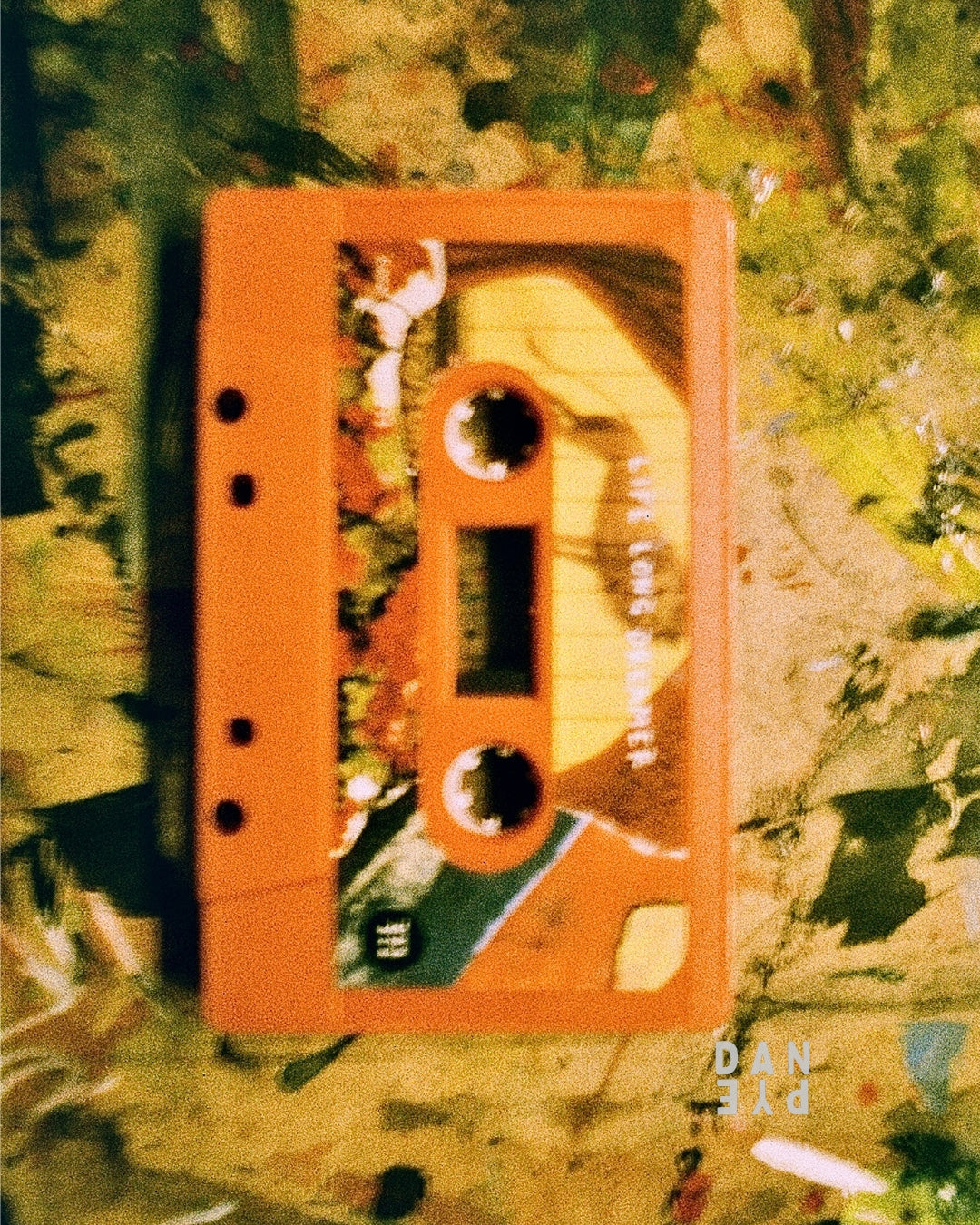 Head & Heart + Life Long Dreamer — Limited Cassette